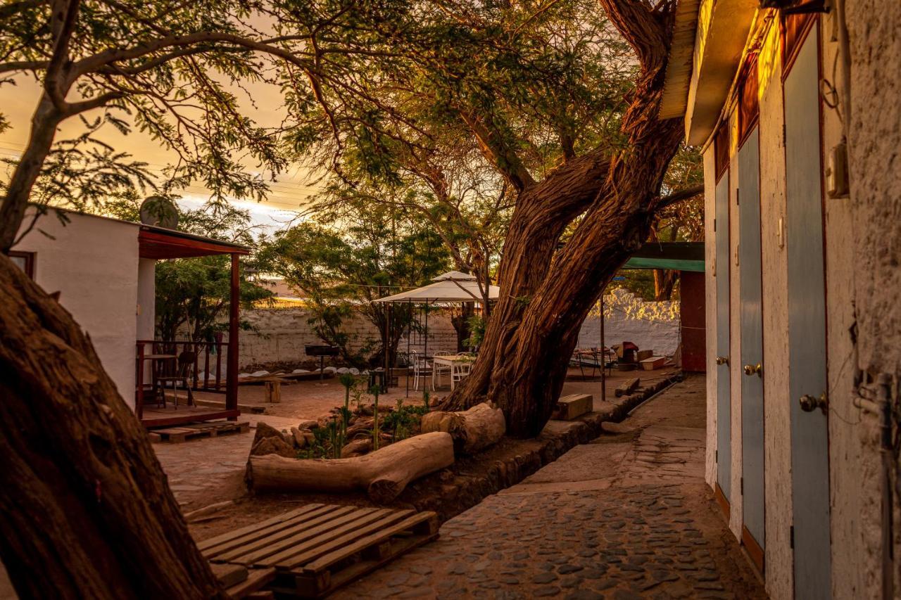 La Casa Del Sol Naciente Hotel San Pedro de Atacama Exterior foto